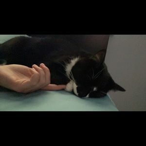 Meet your Posher, Amy